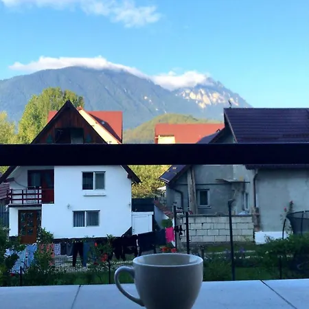 Piatra Craiului Apartment Zarnesti